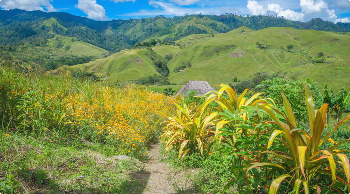 I nostri servizi di noleggio auto offrono una vasta selezione di veicoli a Goroka.